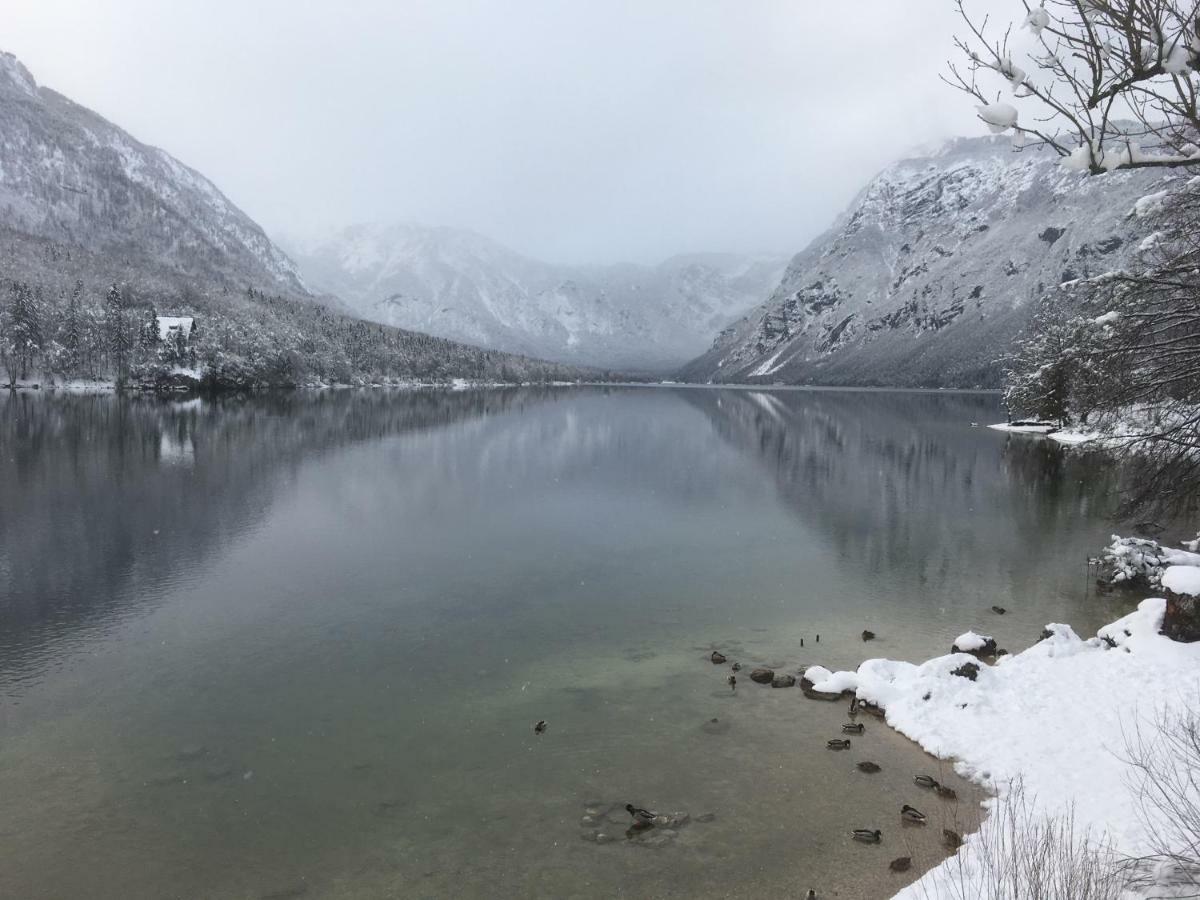 Casa Bohinjアパートメント エクステリア 写真